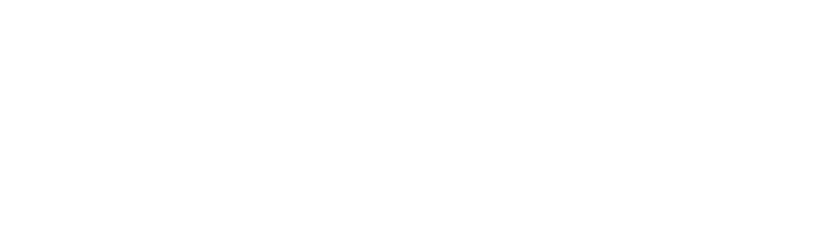 PRB PLUS